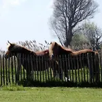In Near The * Nieuwpoort