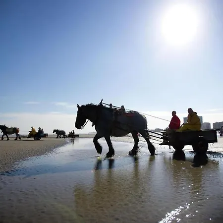 In Near The 아파트