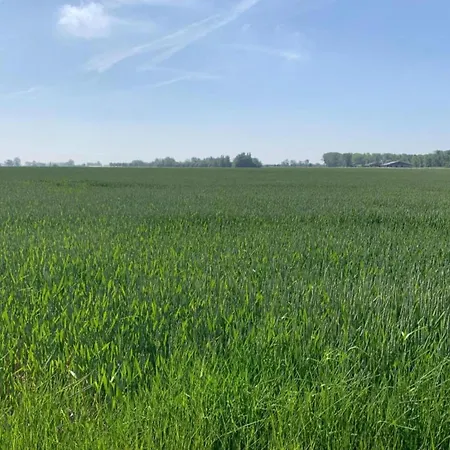 In Near The 아파트 *