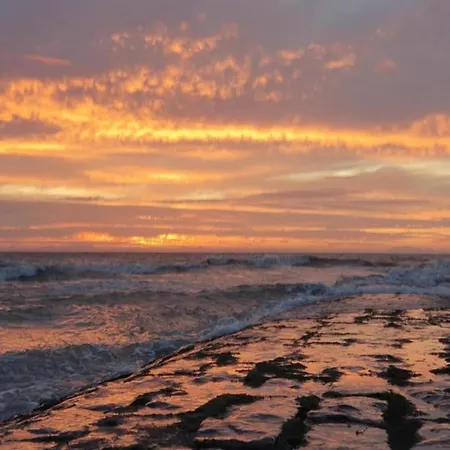 In Near The 아파트 니우포르트