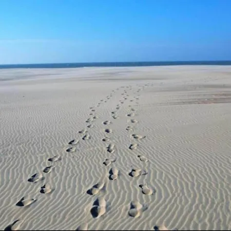 아파트 In Near The 니우포르트