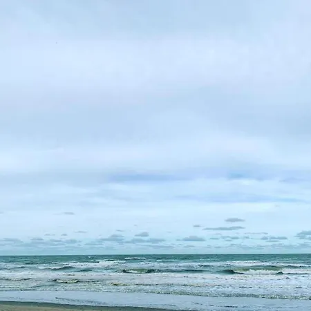 In Near The 니우포르트