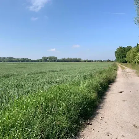 In Near The