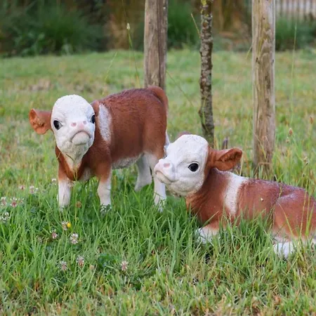 In Near The 아파트 니우포르트