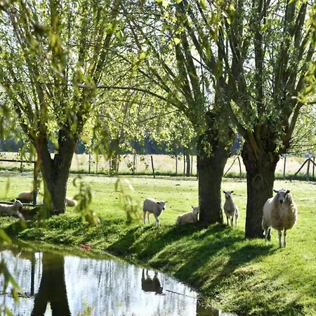 In Near The 니우포르트